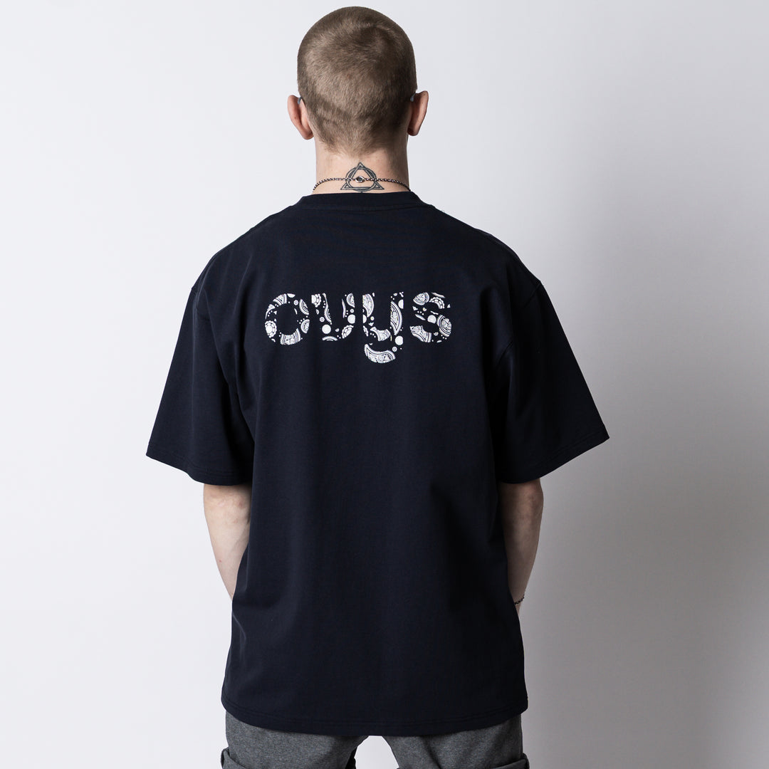 PAISLEY LOGO COTTON EASY SS TEE