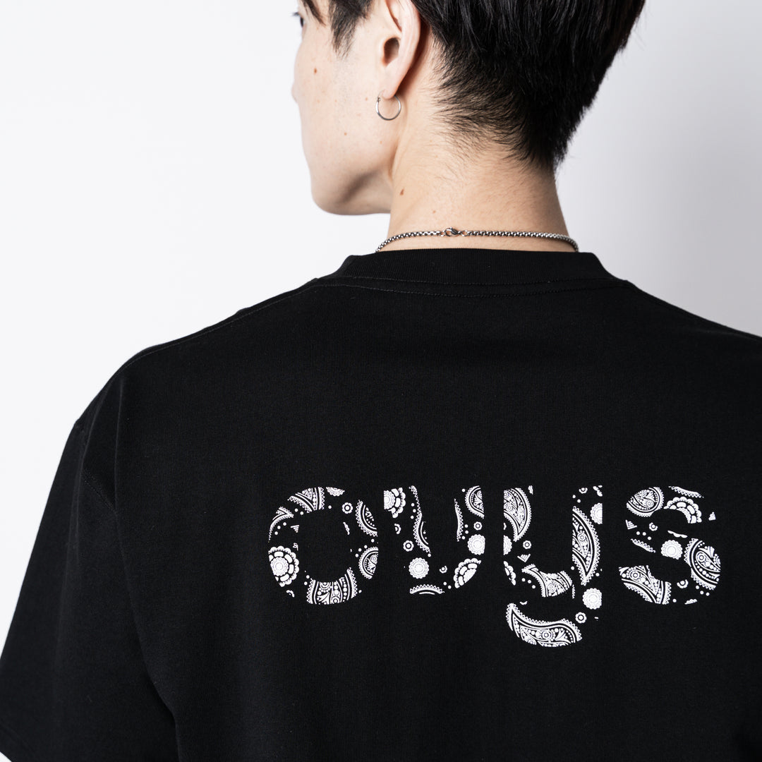 【3/27(金)新色追加】PAISLEY LOGO COTTON EASY SS TEE