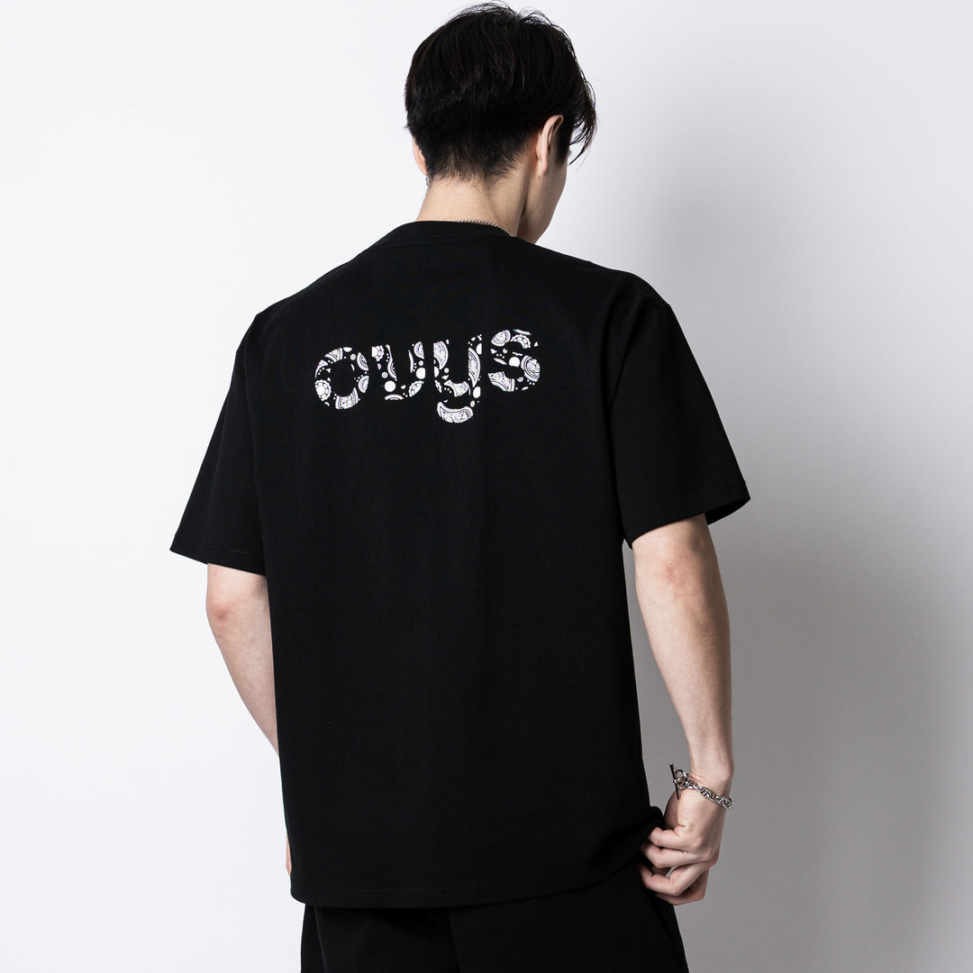 【3/27(金)新色追加】PAISLEY LOGO COTTON EASY SS TEE
