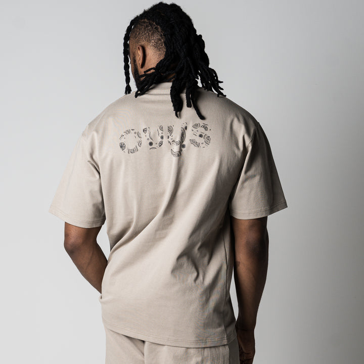 【3/27(金)新色追加】PAISLEY LOGO COTTON EASY SS TEE