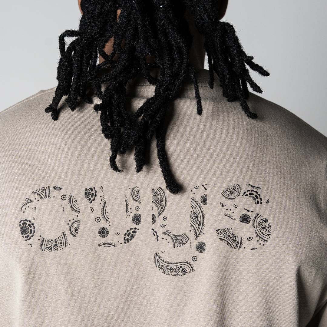 【3/27(金)新色追加】PAISLEY LOGO COTTON EASY SS TEE