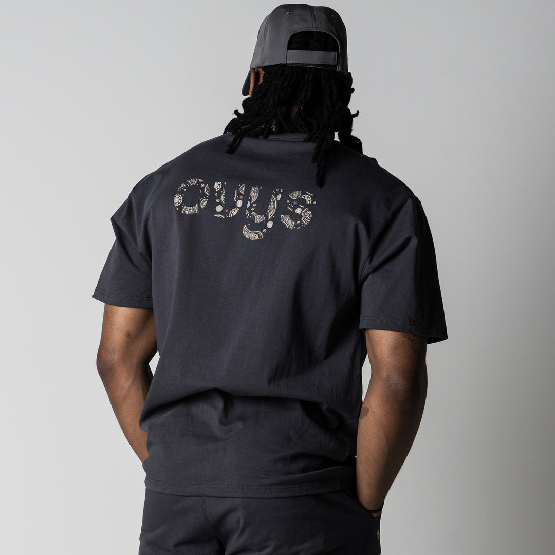 【3/27(金)新色追加】PAISLEY LOGO COTTON EASY SS TEE