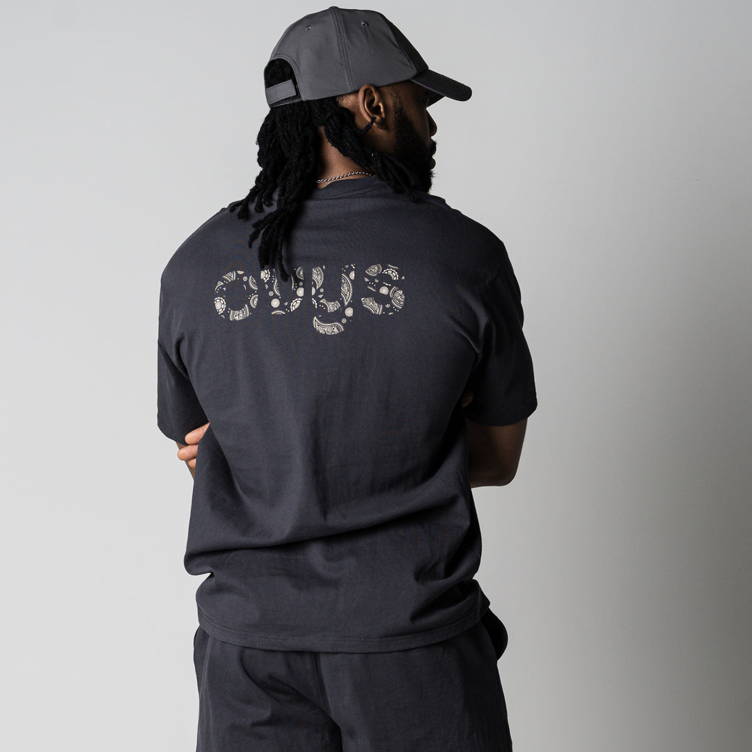 【3/27(金)新色追加】PAISLEY LOGO COTTON EASY SS TEE